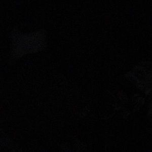 Meet your Posher, Sonali